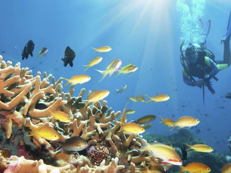 Тур Куала Лумпур 2025 - Сингапур — изображение 6